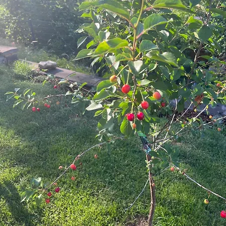 Cozy Living With A View Near Wuerzburg 아파트