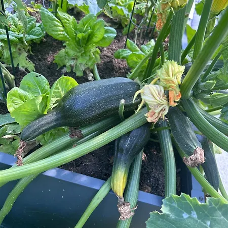 Cozy Living With A View Near Wuerzburg