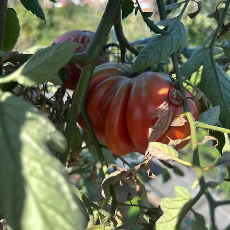 아파트 Cozy Living With A View Near Wuerzburg Niederdorla