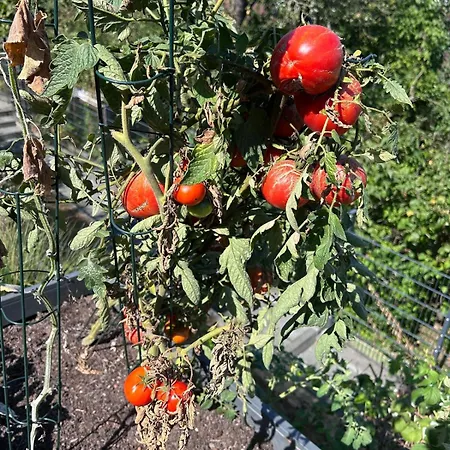 Cozy Living With A View Near Wuerzburg Niederdorla