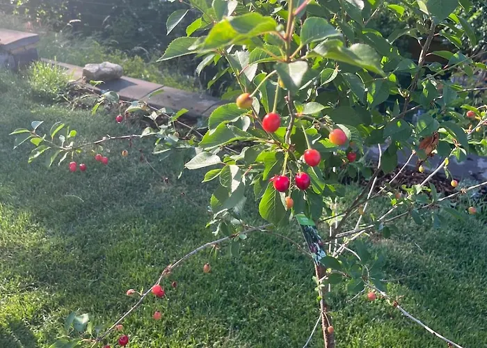 Cozy Living With A View Near Wuerzburg Daire