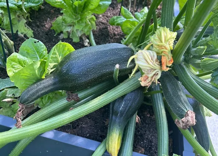 Cozy Living With A View Near Wuerzburg