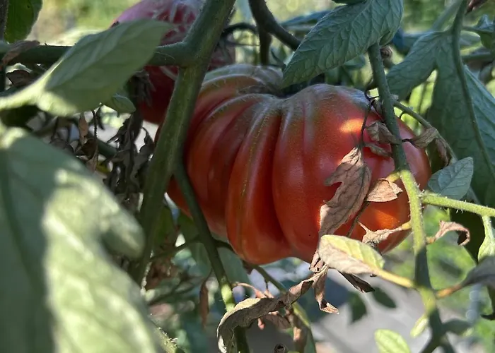 Daire Cozy Living With A View Near Wuerzburg Niederdorla